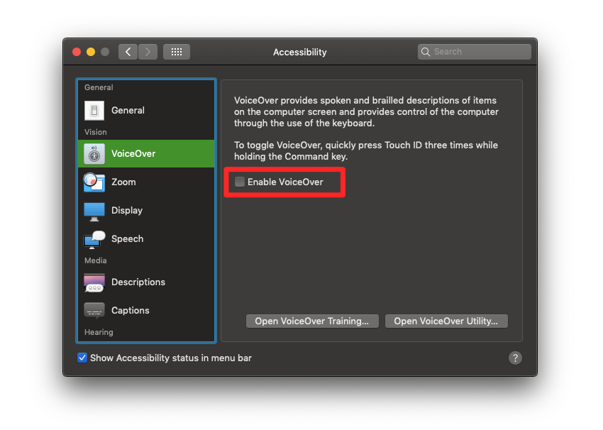 Mac OS, accessibility settings window, VoiceOver